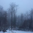 GALANT - last signal ()