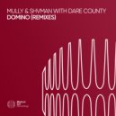 Mully, Shvman & Dare County - Domino (Leonard A Remix)