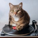 Cat Music Waves & Music Box Lullaby Academy & The Rain Factory - The Quiet Calm Of Lofi Paws ()