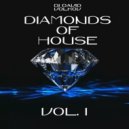Dj David Volkov - Diamonds of House Music 1.0 ()