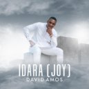 David Amos - Idara (Joy) (Original Mix)