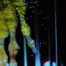 Limón (MT) - In My Dreams