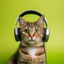 Música para Gatos Dormidos & Secreto Ser Feliz Academy & Gato dormido - Un Momento Para Descansar