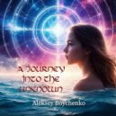Aleksey Boychenko - A journey into the unknown ()