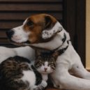 Lofi Music Club & Calm Pets Music Academy & LoFi pet - Pawsome Lofi Jams ()