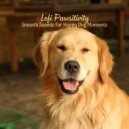 Dog Sleep Academy & Dog Music Library & Happy Music for Dogs - Pawsitivity in Lofi Tunes