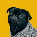 Lofi Hip-Hop Beat & Songs for Dogs to Sleep To & Canine Soothness - Lofi Paw-fect Sounscapes