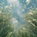 Jasper Meijer - Ewige Liebe ()