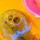 ACROBOTIK - SEEDS LIKE US (Roy Division Mix)