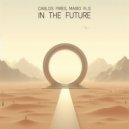 Carlos Pires & MARIO FLS - In The Future ()