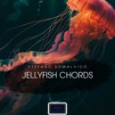 Stefano Somalvico - Jellyfish Chords ()