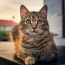 Catching Sleep & Sunday Morning Music & Chakra Sound Bath - A Soft Paw, A Resting Heart