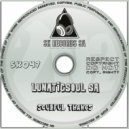 Lunaticsoul SA - Stuck In Love