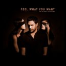 Phonique, Rebecca - Feel What You Want (AKA AKA & Thalstroem Remix)