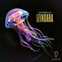 Voodoochild - Izindaba (Original Mix)